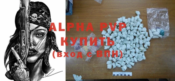 амф Касимов