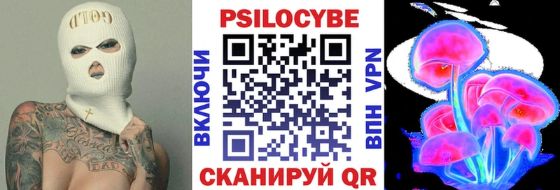 Купить где  Елизово  Псилоцибиновые грибы прущие грибы 
